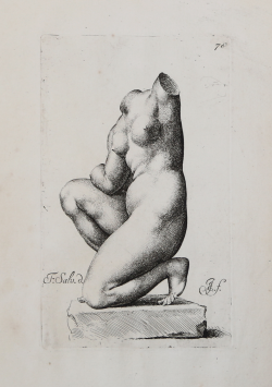                   Venere
              