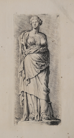                   Persefone
              