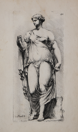                   Flora
              