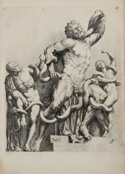                   Laocoonte
              
