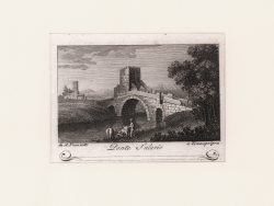                   Ponte Salario
              