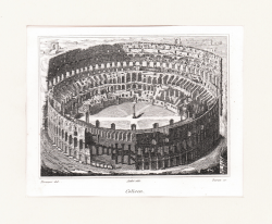                   Coliseo
              