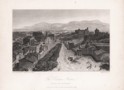                   The Roman Forum
              