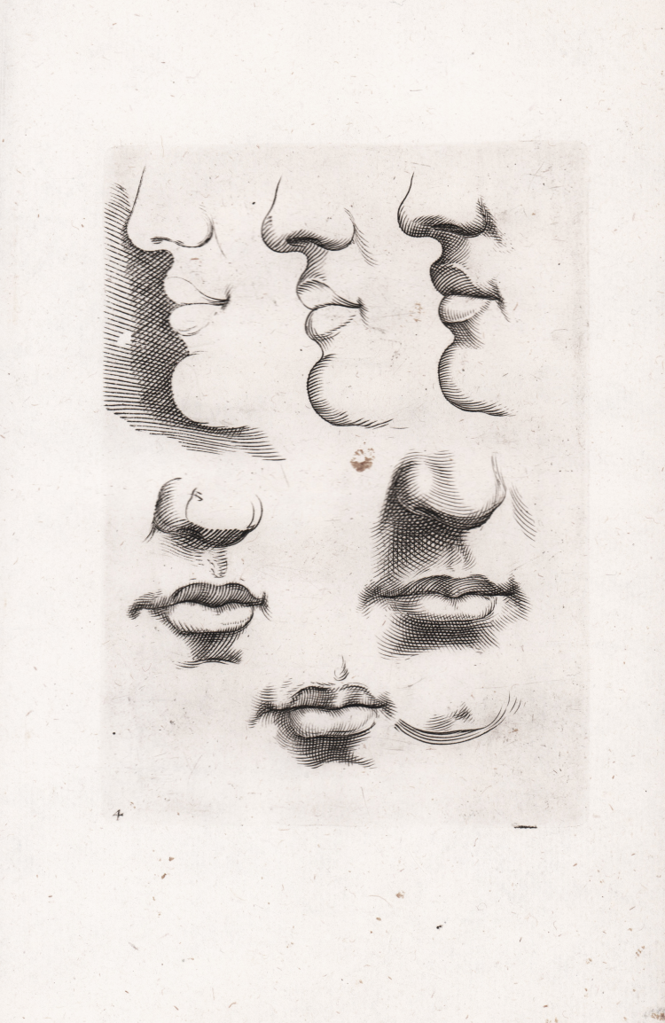 Nose Cheek Chin Drawing Sketch PNG, Clipart, Black And White, Character,  Cheek, Chin, Drawing Free PNG