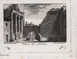                   Foro di Nerva
              
