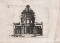                   Profile e perspective de...
              