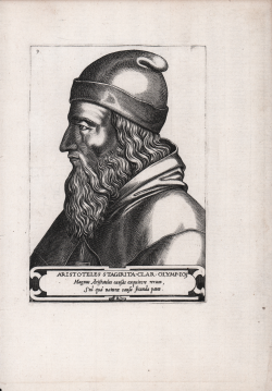                   Aristotle
              