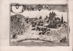                   Pigniola Sevvigniola
              