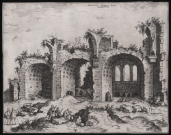                   Ruinarum Templi Pacis,...
              