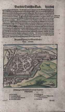                   Ab contrafehtung Der Statt...
              