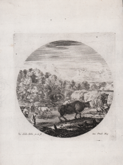                   Herd of cattle and two...
              