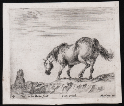                   A horse in profile facing left
              