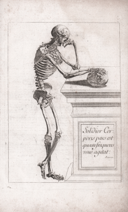                   Memento Mori
              