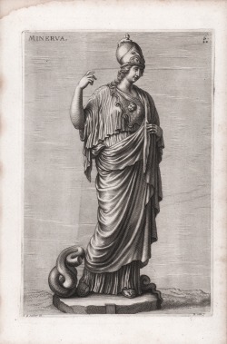                   Minerva
              