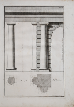                   Architectural orders
              