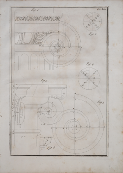                   Ordini architettonici
              