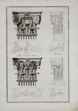                   Architectural orders
              