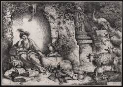                   La Maga Circe
              