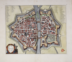                   Parma
              