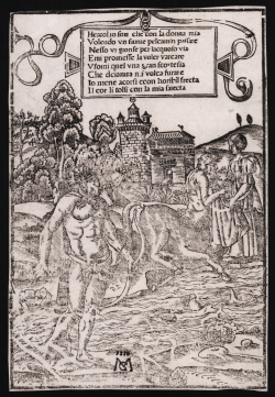                   Ercole e Deianira
              