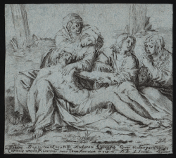                   La Pietà o Cristo di Caprarola
              