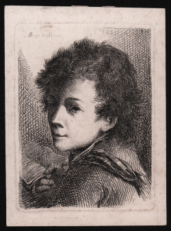                  Testa di giovane uomo
              