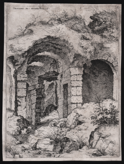                   Colossaei Ro prospectus
              