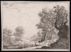                   Paesaggio fluviale
              