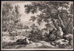                  Paesaggio con rocce e alberi
              
