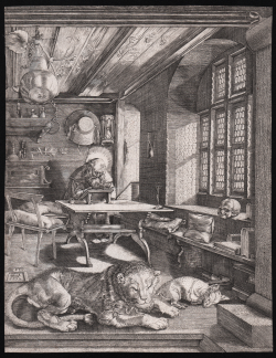                   San Girolamo nello studio
              