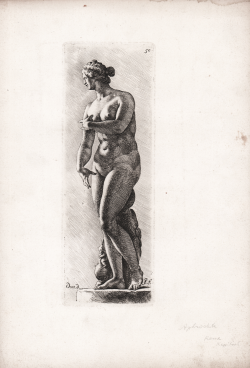                   Venere
              