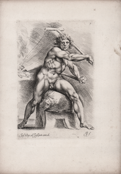                   Ritratto di un nudo...
              