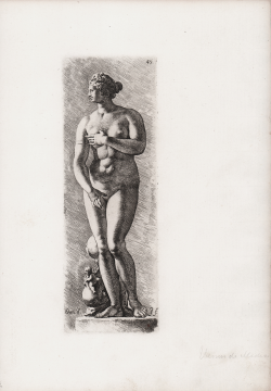                   Venus dei Medici
              