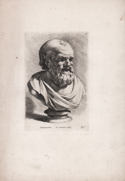                   Head of Democritus
              