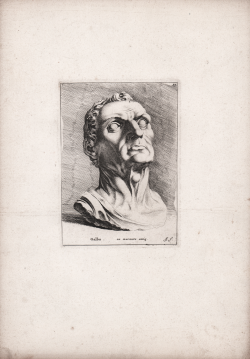                   Galba
              