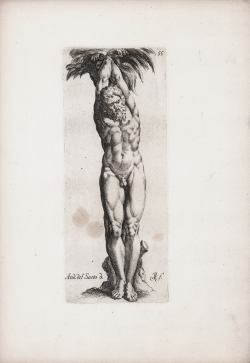                   Marsyas
              