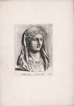                   Faustina major
              