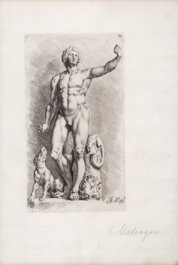                   Meleager
              
