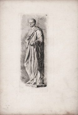                   Togatus - Marius (Musei...
              