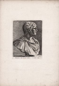                   Portrait of Lucius Aelius
              