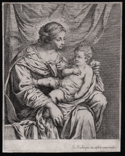                   Madonna con Bambino
              