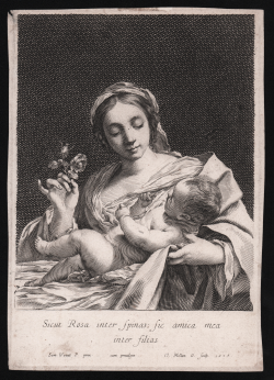                   Madonna con bambino
              