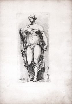                   Flora Farnese
              