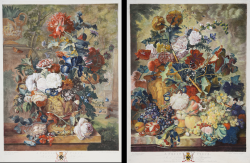                   A Flower Piece  & A Fruit...
              