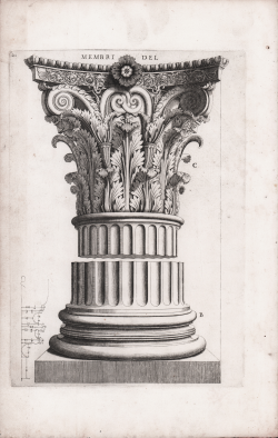                   Capitello
              