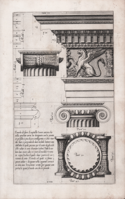                   Capitello Ionico
              