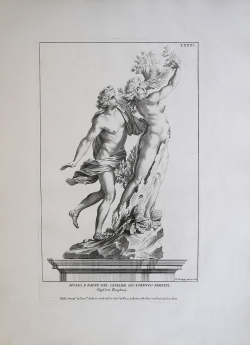                   Apollo e Dafne del Bernini
              