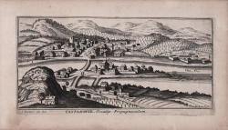                   Castanowiz  - Croatiae...
              