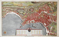                   Pianta della Città di Napoli
              