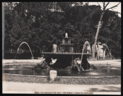                   Roma - Villa Borghese -...
              